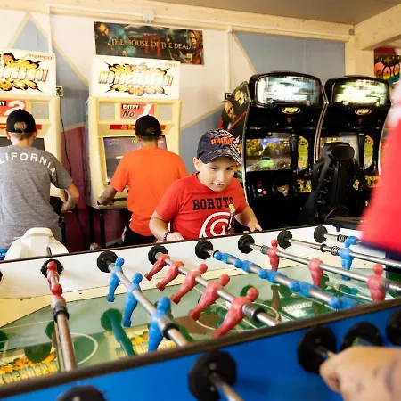 Camping Classe Lido di Dante