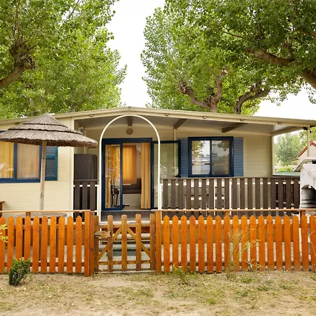 Camping Classe Lido di Dante