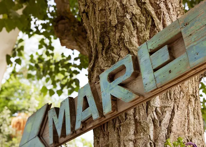 Classe Village Camping Lido di Dante